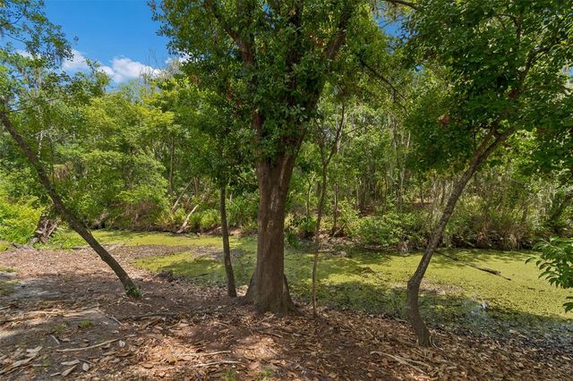 1005 HIGHGROVE COURT, Valrico, FL 33596