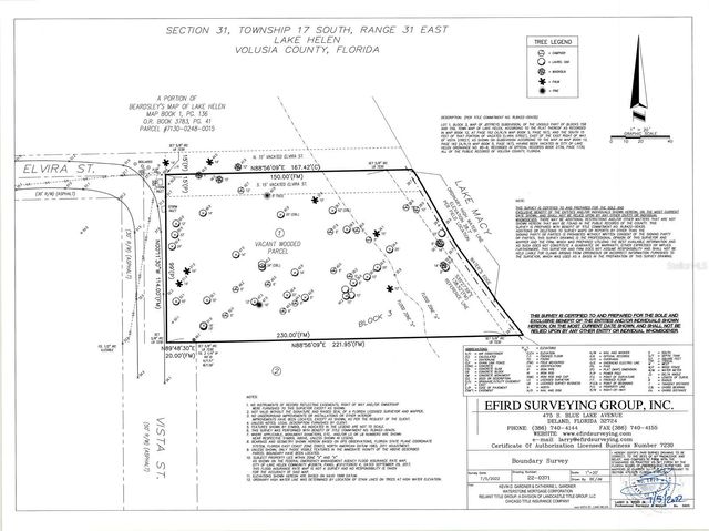 VISTA STREET, Lake Helen, FL 32744