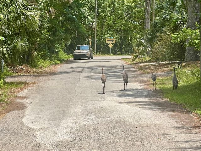 VISTA STREET, Lake Helen, FL 32744