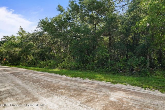 0 Knoxville Drive, Webster, FL 33597