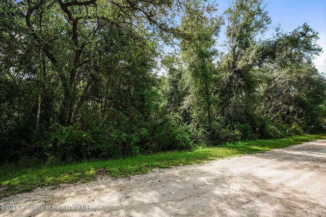 0 Knoxville Drive, Webster, FL 33597