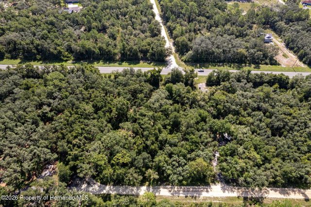 0 Knoxville Drive, Webster, FL 33597