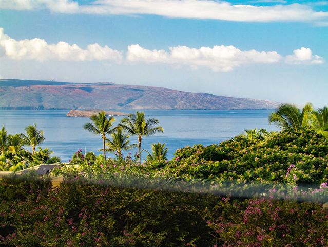 11 Halapa Pl, Kihei, HI 96753