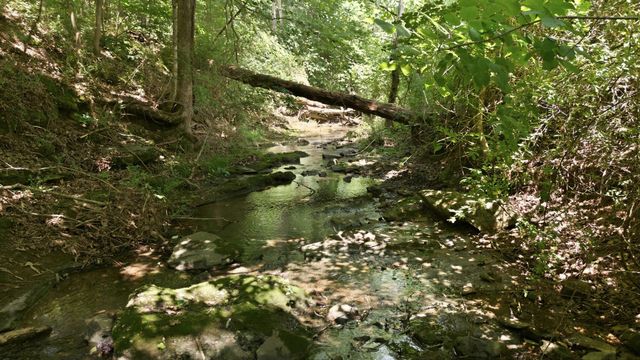 0 Franklin Rd, Charlotte, TN 37036