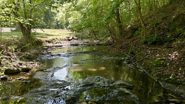0 Franklin Rd, Charlotte, TN 37036