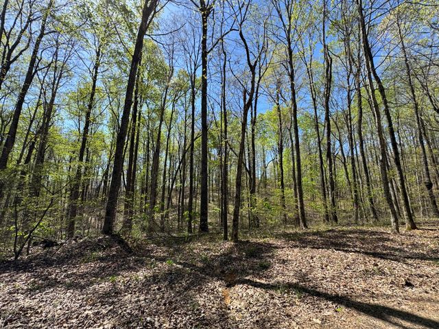 Lot 128 Sandstone Point, Monticello, KY 42633
