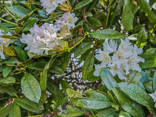 815 Ne 25TH St, Gresham, OR 97030