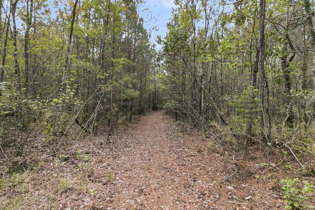 1 Washington Town Road, Summerville, SC 29486