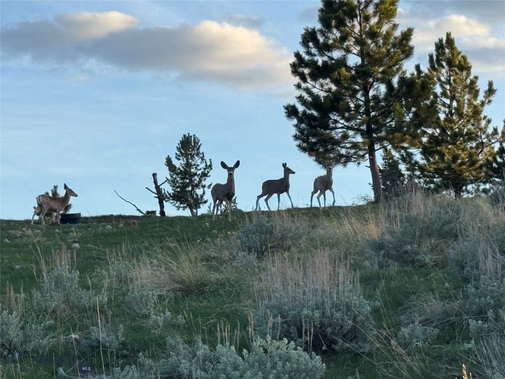 TBD TBD, Big Timber, MT 59011 photo 11