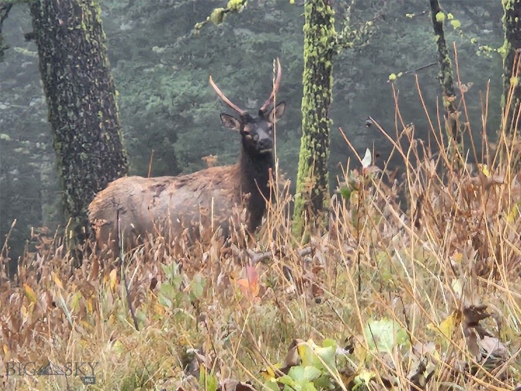 TBD TBD, Big Timber, MT 59011 photo 13