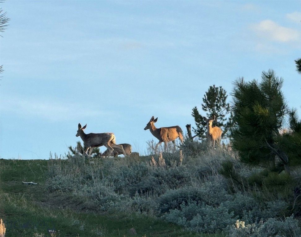 TBD TBD, Big Timber, MT 59011 photo 14