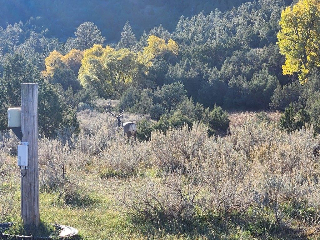 TBD TBD, Big Timber, MT 59011 photo 15