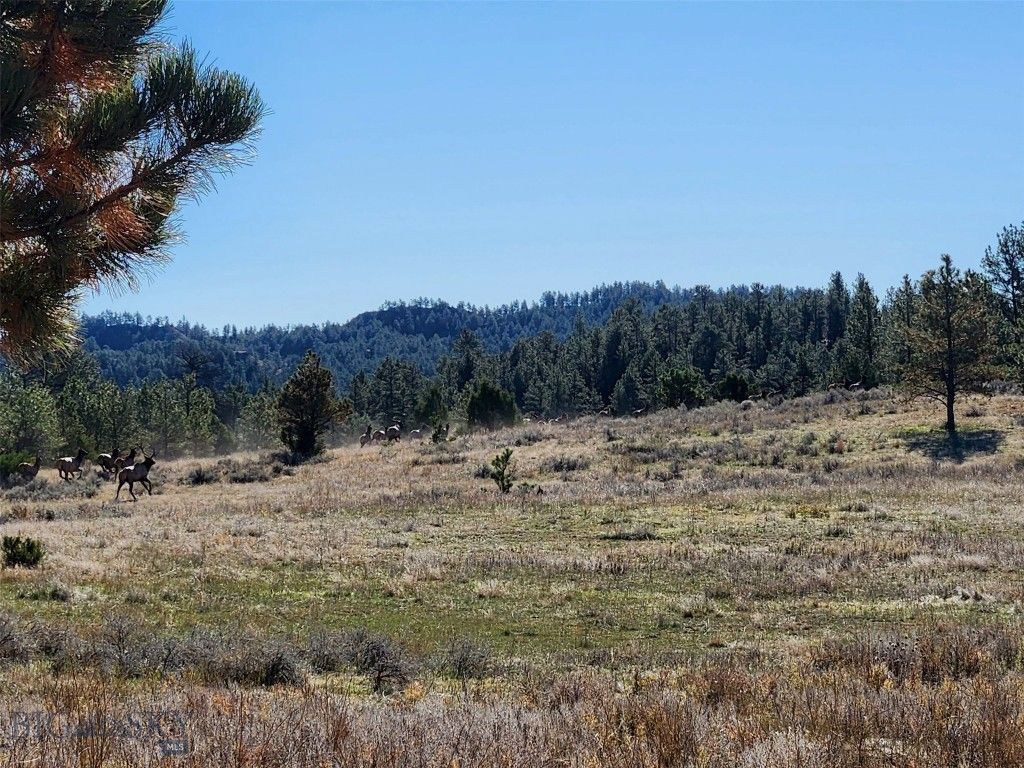 TBD TBD, Big Timber, MT 59011 photo 16