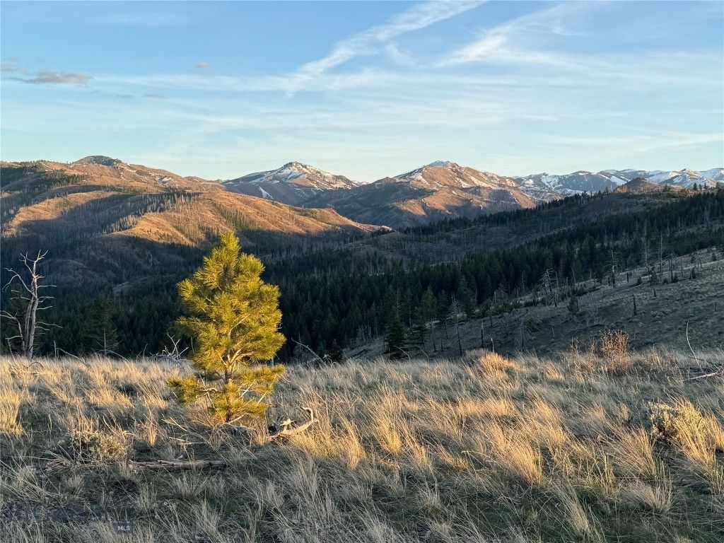 TBD TBD, Big Timber, MT 59011 photo 19