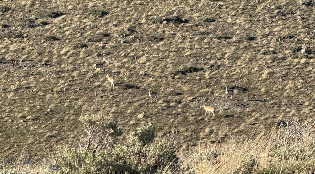 TBD TBD, Big Timber, MT 59011 photo 26