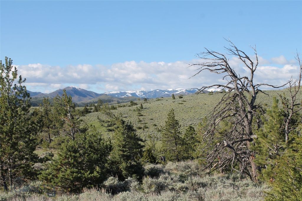 TBD TBD, Big Timber, MT 59011 photo 27