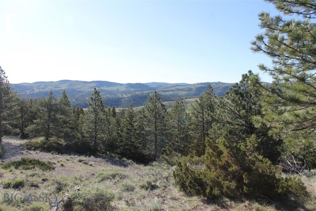 TBD TBD, Big Timber, MT 59011 photo 28