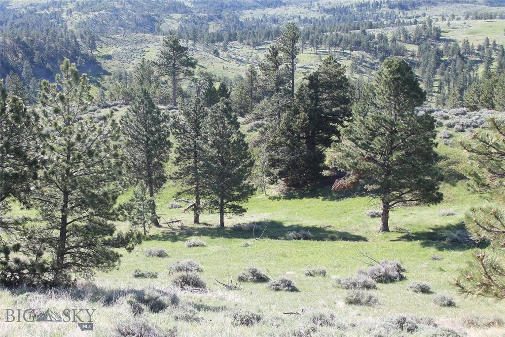 TBD TBD, Big Timber, MT 59011 photo 30