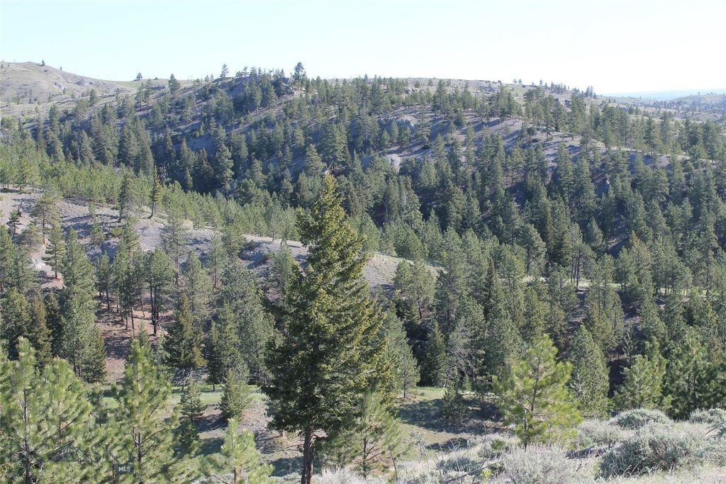 TBD TBD, Big Timber, MT 59011 photo 31