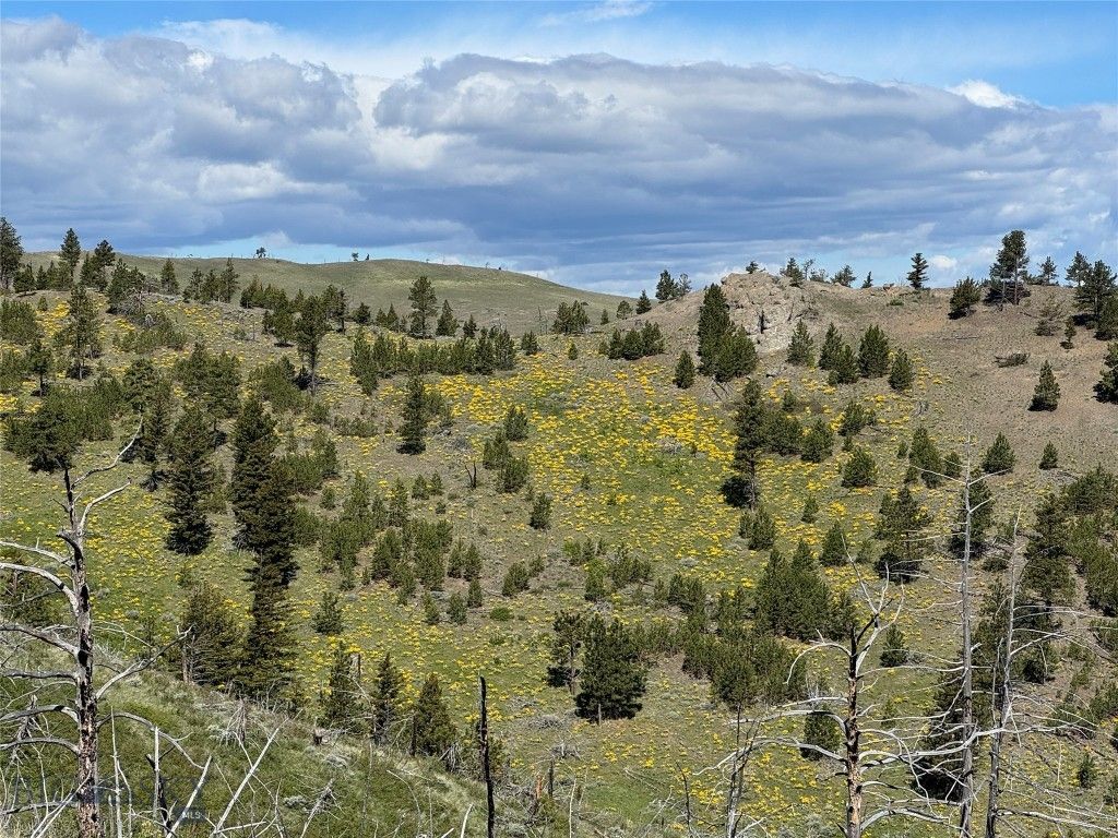 TBD TBD, Big Timber, MT 59011 photo 33