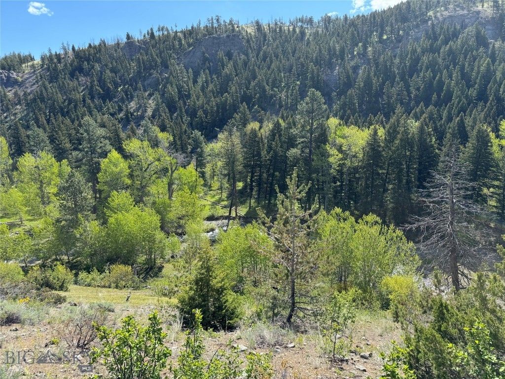 TBD TBD, Big Timber, MT 59011 photo 38