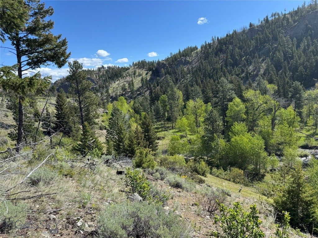 TBD TBD, Big Timber, MT 59011 photo 39
