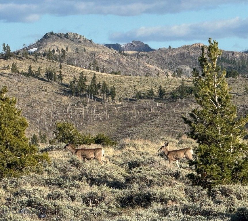 TBD TBD, Big Timber, MT 59011 photo 4