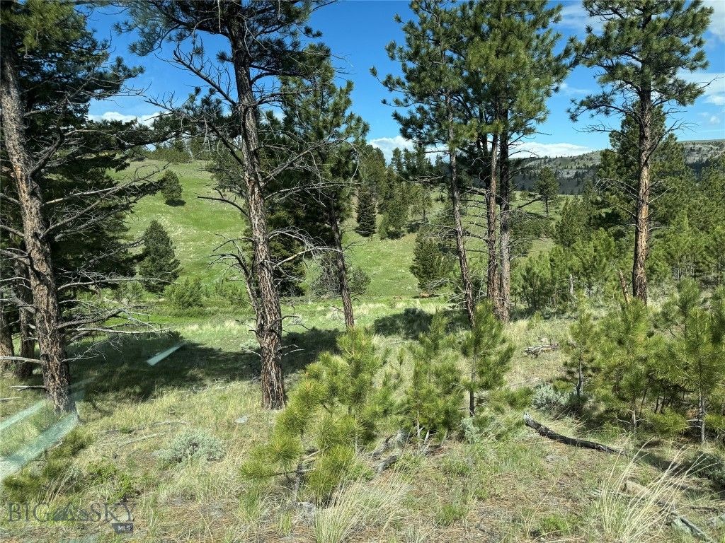TBD TBD, Big Timber, MT 59011 photo 43