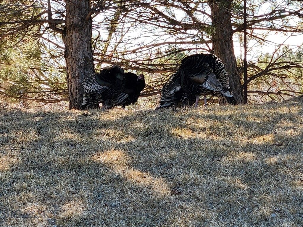 TBD TBD, Big Timber, MT 59011 photo 6