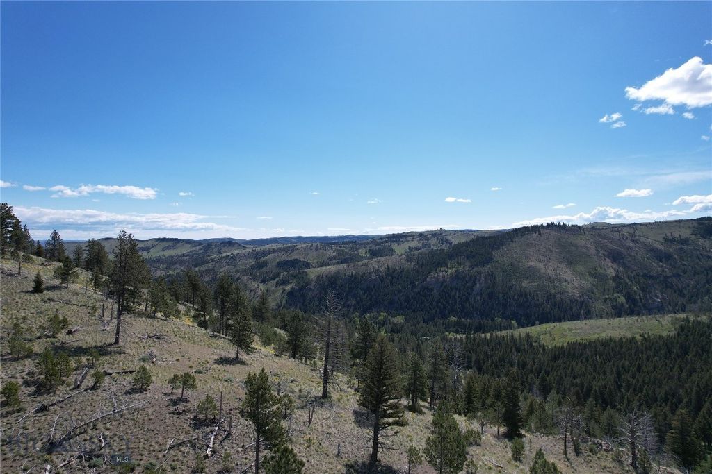 TBD TBD, Big Timber, MT 59011 photo 67
