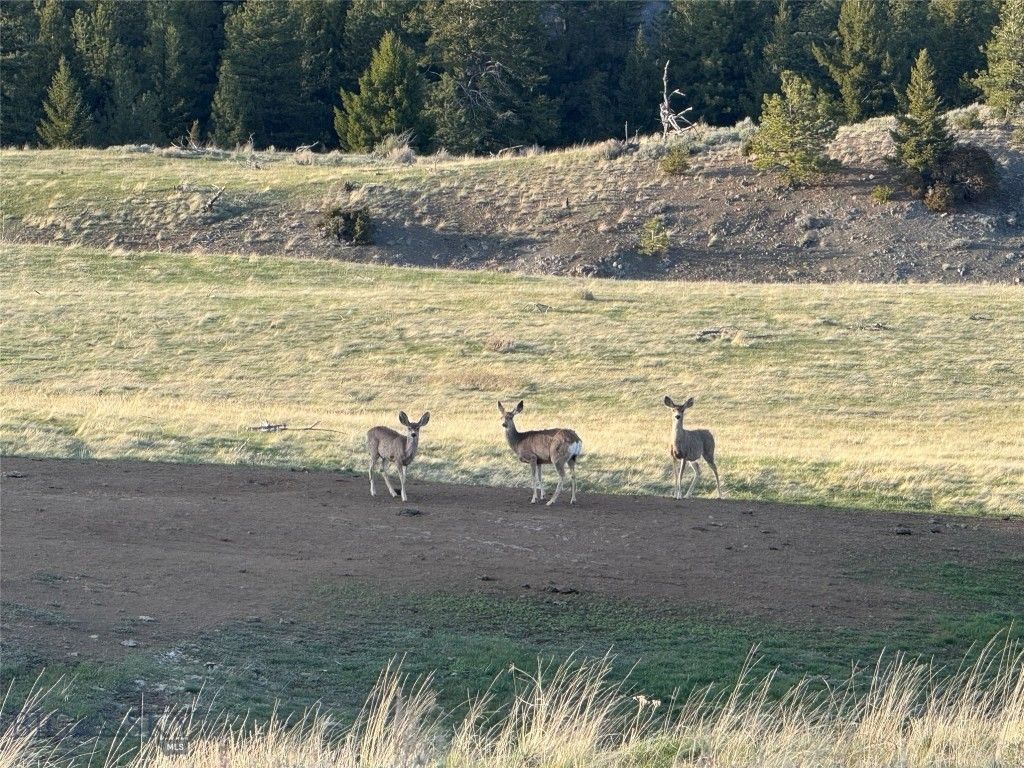 TBD TBD, Big Timber, MT 59011 photo 7