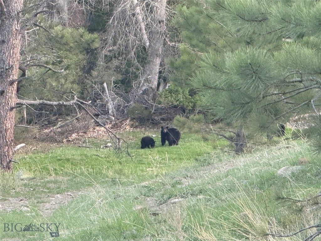 TBD TBD, Big Timber, MT 59011 photo 8