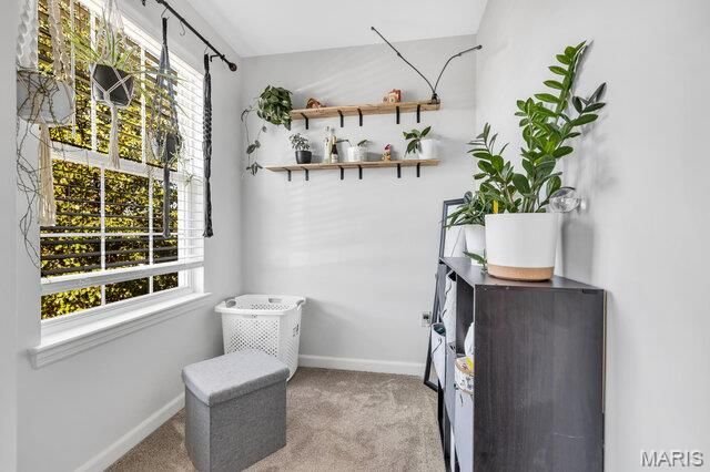 2024 Village Glen Drive, Wentzville, MO 63385