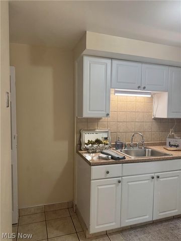 1515 E 256th Street, Euclid, OH 44132