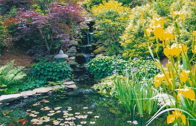 41 Court Street, Chatham, MA 02650