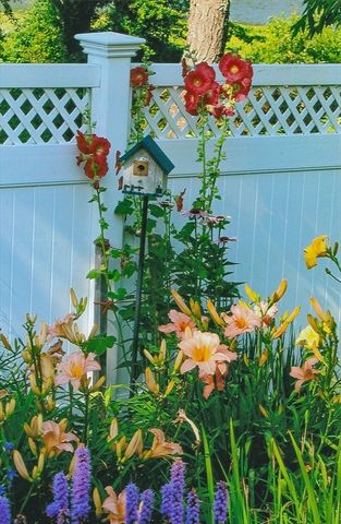 41 Court Street, Chatham, MA 02650