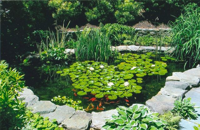 41 Court Street, Chatham, MA 02650