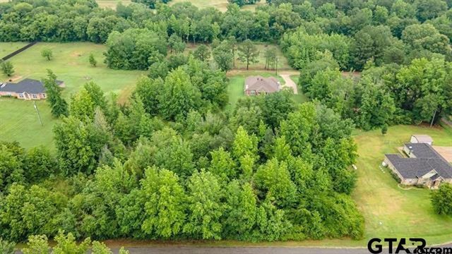 Lot 50 PR 7011, Frankston, TX 75763