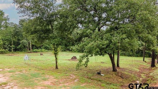 Lot 50 PR 7011, Frankston, TX 75763