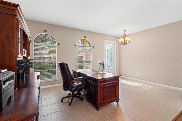 20314 CHESTNUT GROVE DRIVE, Tampa, FL 33647