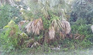 BLUEBERRY ROAD, North Port, FL 34288