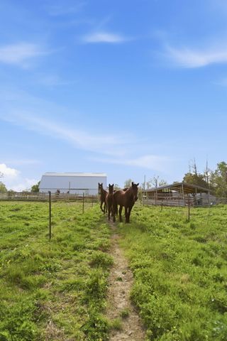 8586 Stulltown Road, Owingsville, KY 40360