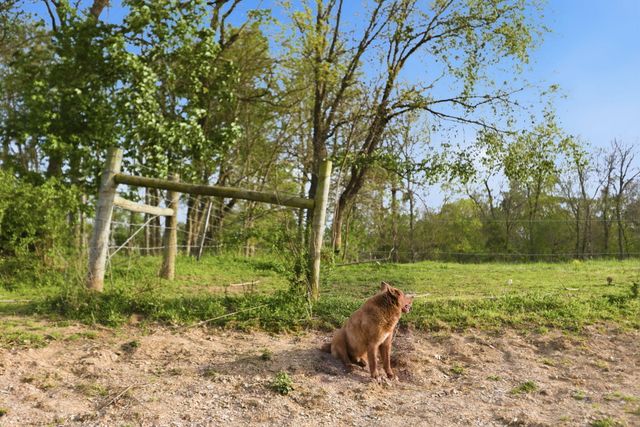 8586 Stulltown Road, Owingsville, KY 40360