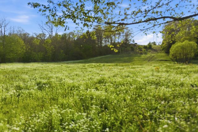 8586 Stulltown Road, Owingsville, KY 40360