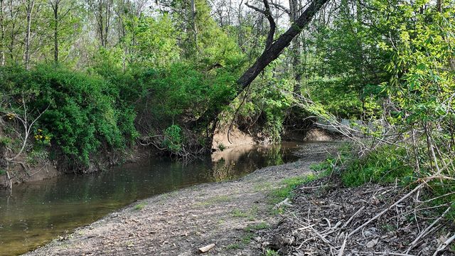 8586 Stulltown Road, Owingsville, KY 40360
