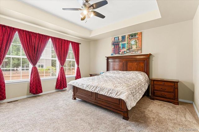 8935 Snowball Way, Parker, CO 80134
