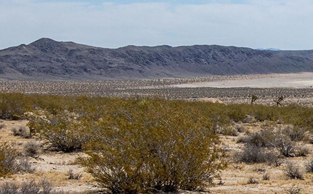 141 La Crescenta Drive, Joshua Tree, CA 92252