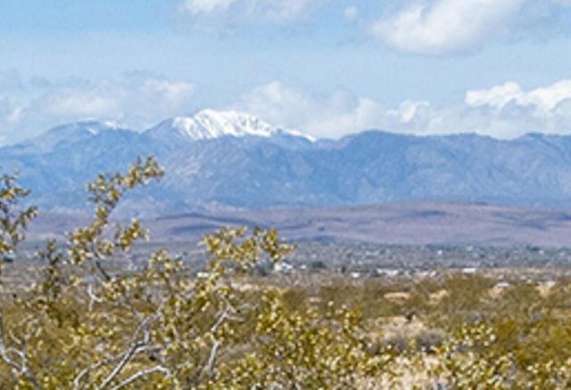 141 La Crescenta Drive, Joshua Tree, CA 92252