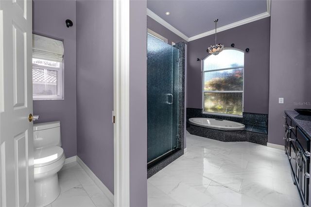 1471 BRIARGROVE WAY, Oldsmar, FL 34677