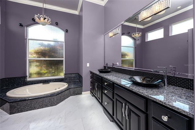 1471 BRIARGROVE WAY, Oldsmar, FL 34677